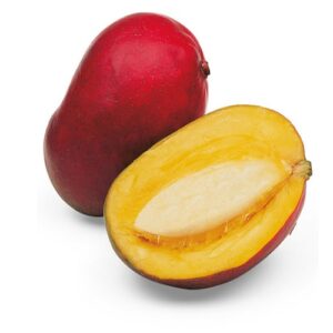 خليط الجيلاتو الجاهز بطعم المنجا بالقطع