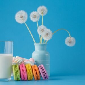 CLASSIC FRENCH MACARON KOMPLET KO63172.64