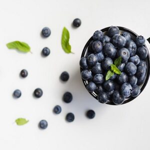 VARIEGATO BLUBERRY MIRTILLO NAPPI 1760